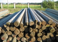 wooden telegraph poles